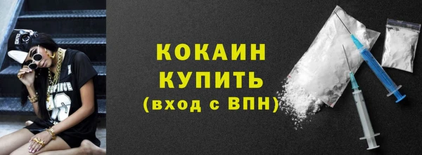 кокс Алексин
