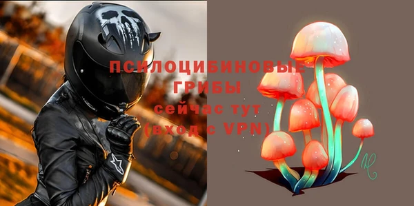 кокс Алексин