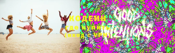 ГАЛЛЮЦИНОГЕННЫЕ ГРИБЫ Алзамай