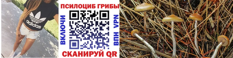 Галлюциногенные грибы прущие грибы  ОМГ ОМГ ссылка  Заволжск 