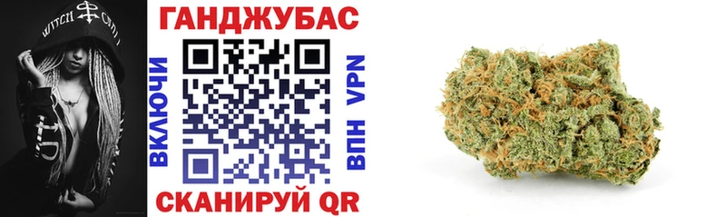 купить   Заволжск  Каннабис сатива 